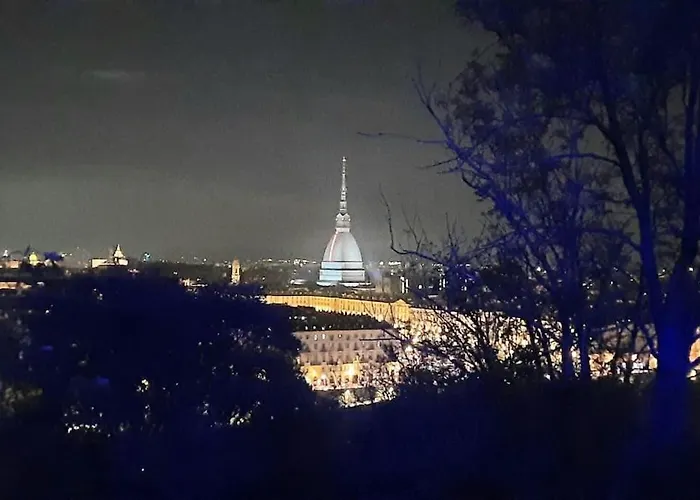 Top View Torino Con Vista Mole Antonelliana
